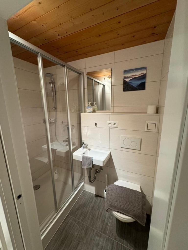 Go For Mountains Appartements Ебен им Понгау Екстериор снимка