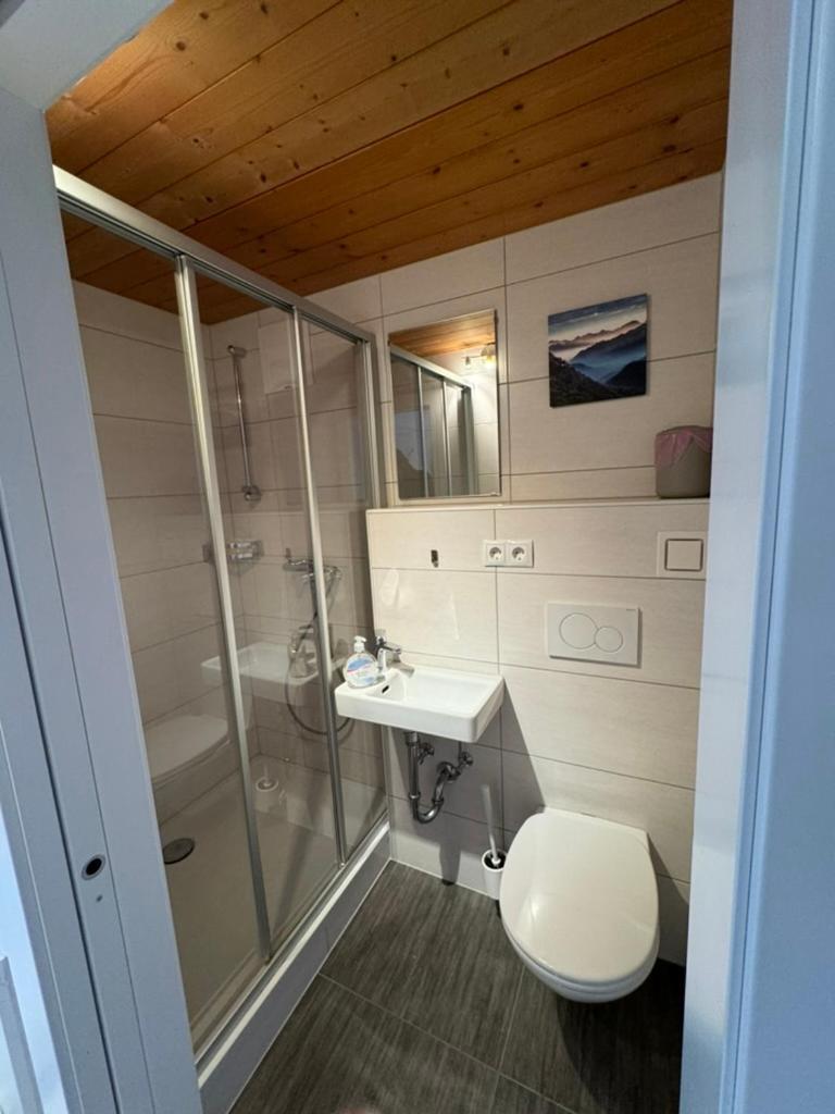 Go For Mountains Appartements Ебен им Понгау Екстериор снимка