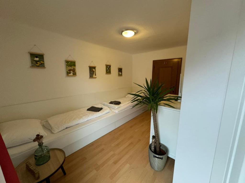 Go For Mountains Appartements Ебен им Понгау Екстериор снимка